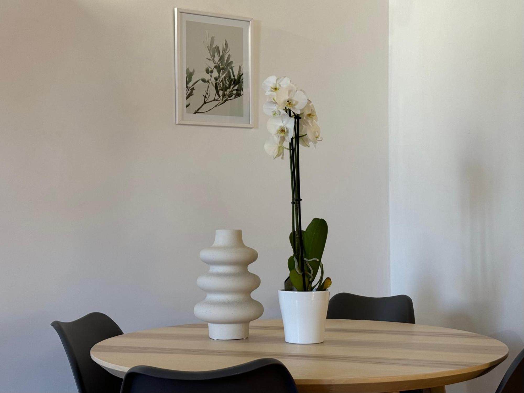 Apartament Il Vicoletto Marino Zewnętrze zdjęcie